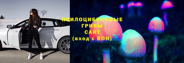 прущий лед Верея