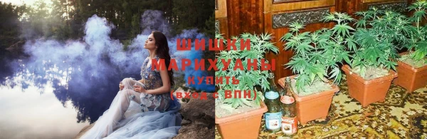 СК Верхний Тагил