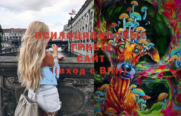 СК Верхний Тагил