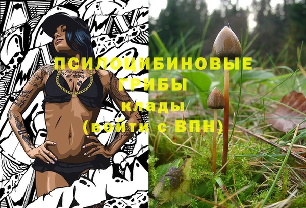 СК Верхний Тагил